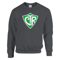 Load image into Gallery viewer, Choose The Right | Crewneck Sweatshirt - Bearable Apparel